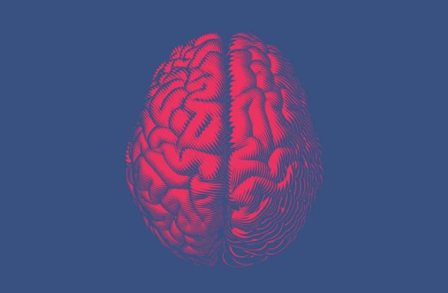 Учени обясниха защо някои хора плагиатстват