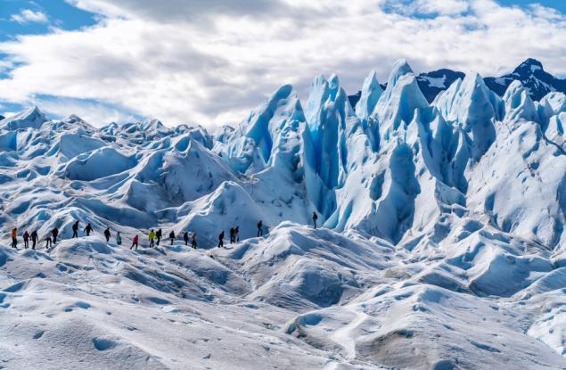 Патагонският леден дракон е изложен на риск заради топенето на ледниците
