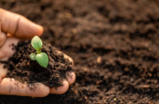Калцият в почвата – ново средство за борба с изменението на климата