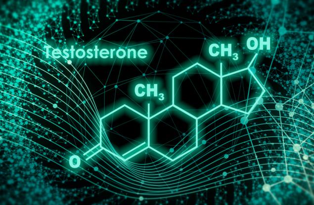 Как упражненията и тренировките влияят на хормоните ни
