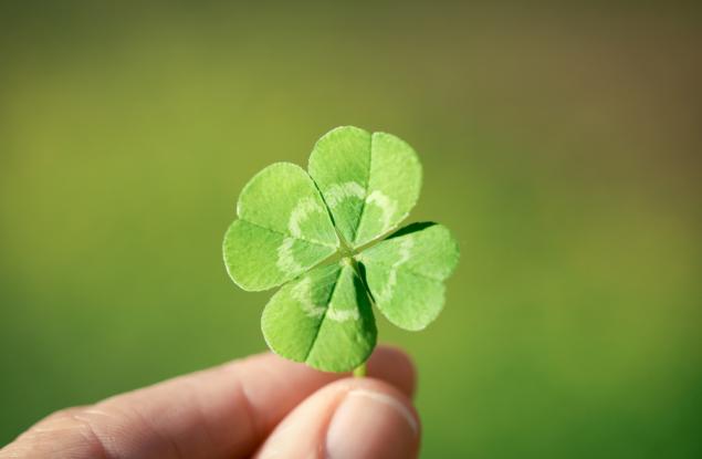 Виц: Четирилистната детелина