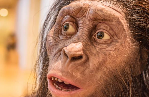 Австралопитекът не е консумирал месо: Ново проучване разкрива преобладаващо растителната му диета