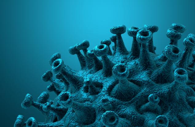 Пораженията върху белия дроб и нервната система  в резултат от COVID-19  