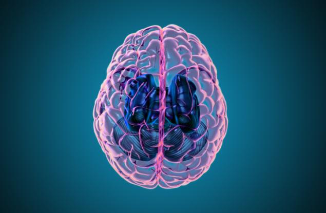 Новият коронавирус изглежда засяга и мозъка