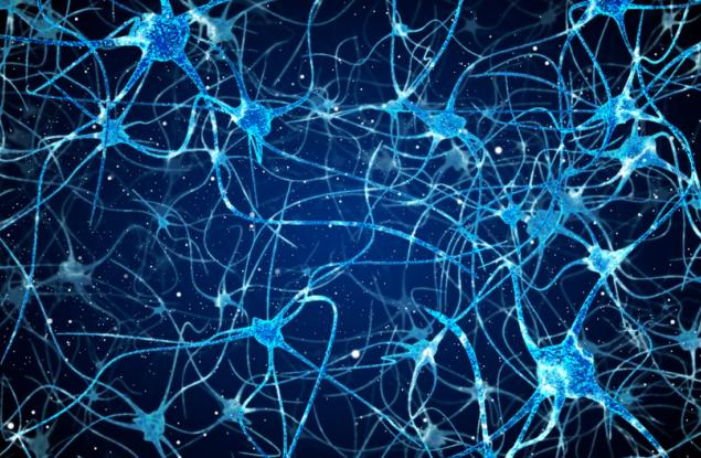Изследователи успяха за първи път да запишат дългосрочна електрическа активност в една-единствена мозъчна клетка