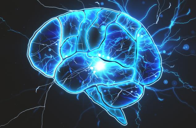 Според нова теория нашето съзнание се намира в енергийното поле на мозъка