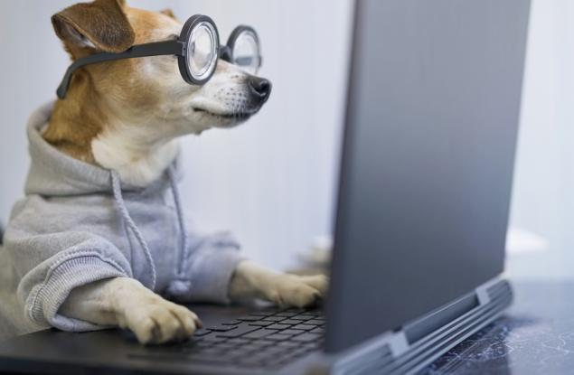 9 научно доказани факта, че сте много по-умни, отколкото си мислите