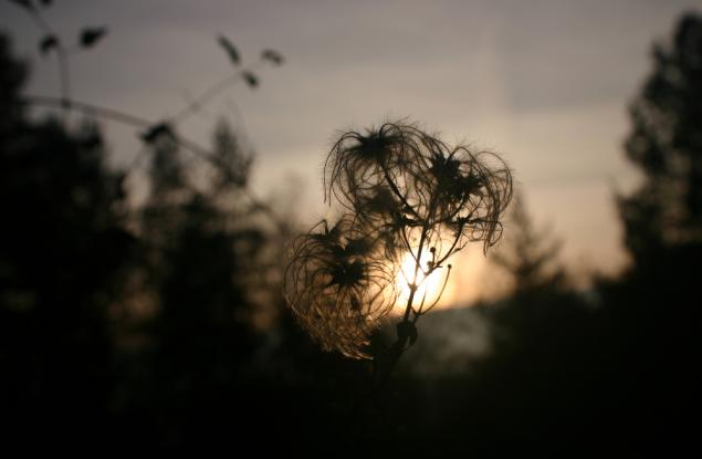 Има два типа носталгия