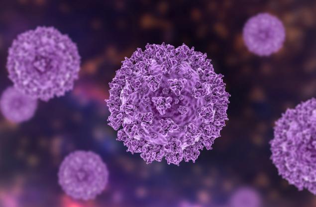 Хонконгски учени са разработили антивирусно покритие, осигуряващо 90-дневна защита на повърхности