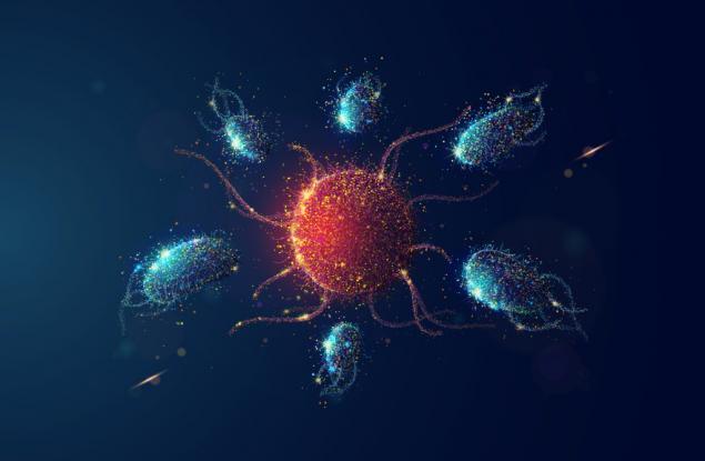 Можете да "заемете" имунитет: Интересни факти за имунната система