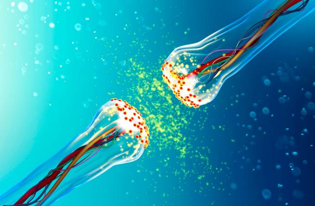 Създадоха изкуствен синапс с помощта на вода и соли