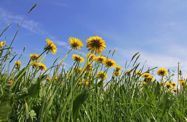 Регистрирахме най-горещия април – поредицата от световни рекорди продължава