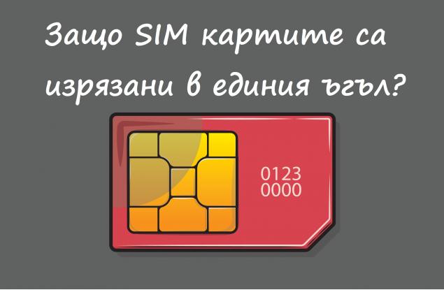 Опитайте се да отговорите на тези 5 любопитни въпроса