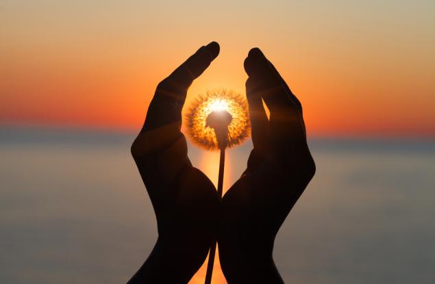 Ремарк: на една крачка между романтиката и идиотизма