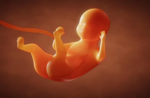 Откриха антитела в плацентите на бременни жени, заразени с COVID-19