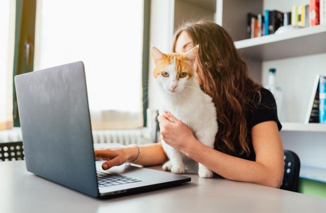 В условията на хоум офис домашните животни действат добре на психиката