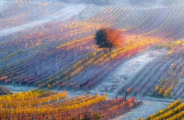 Почувствайте хипнотизиращата красота на Моравия с тези великолепни фотографии