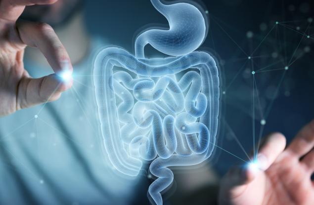 Свързаха отново възпалението на червата с болестта на Алцхаймер