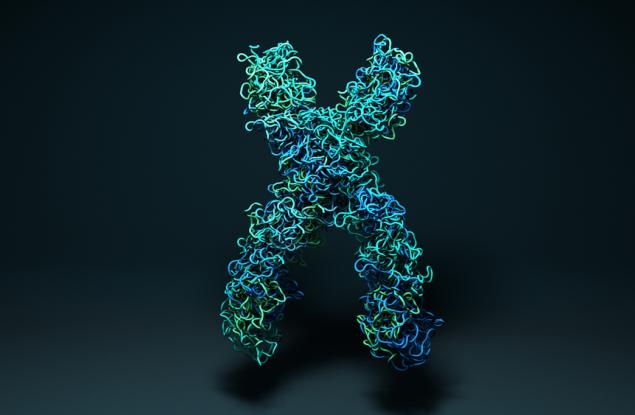 Хромозомите не изглеждат по начина, по който си мислите – създадоха 3D изображение на реална хромозома