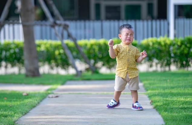 Успешните стратегии срещу вечните детски капризи