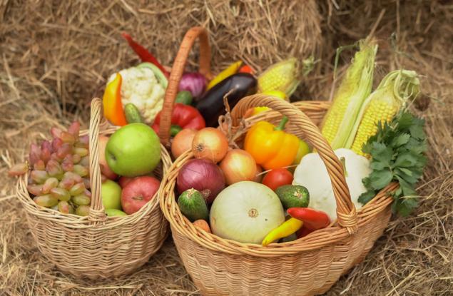 Взаимозависимост между климатичните промени и производството на храни
