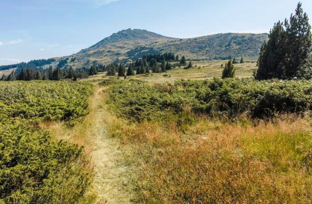 Доброволчески акции ще подобрят инфраструктурата в планините Витоша и Люлин