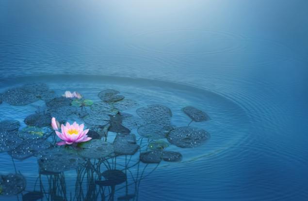 Първото нещо, което прави слепият, когато прогледне, е да хвърли бастуна, който му е помагал