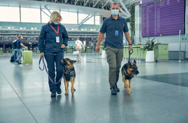 Кучетата могат да засичат над 90% от случаите на COVID-19, дори асимптоматичните