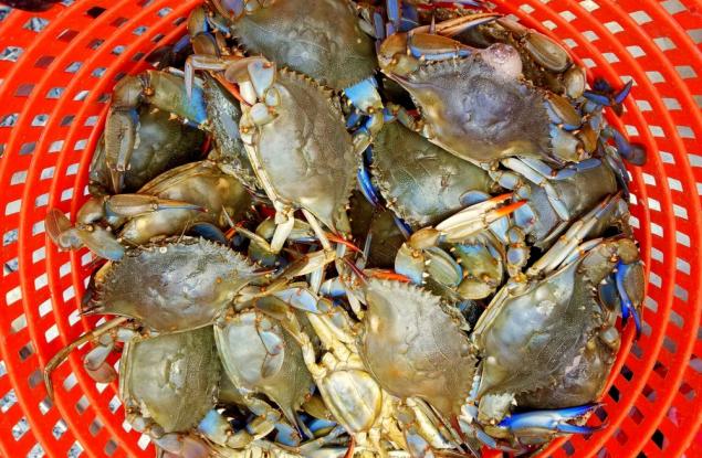 Притча за раците и завистта