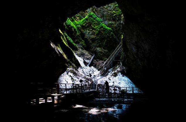 Бактерии, замръзнали преди 5000 години, може да помогнат в борбата със „супербактериите“