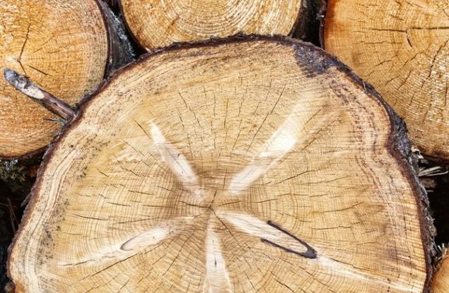 ЕС не успява да изпълни целите за биоразнообразието до 2020 г.