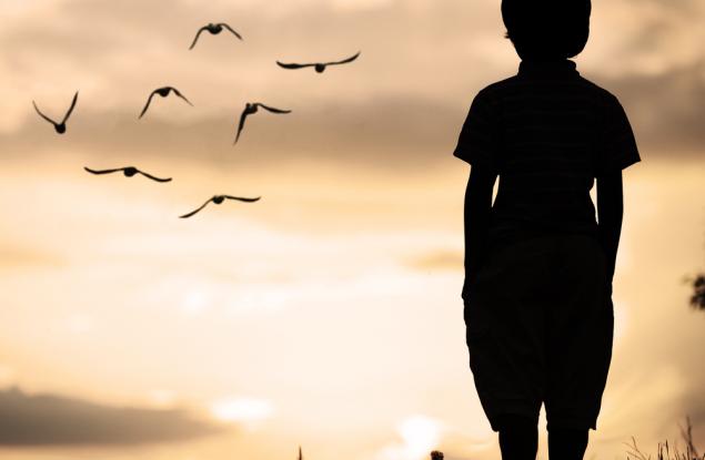 Понякога трябва да обичаш птица със счупено крило