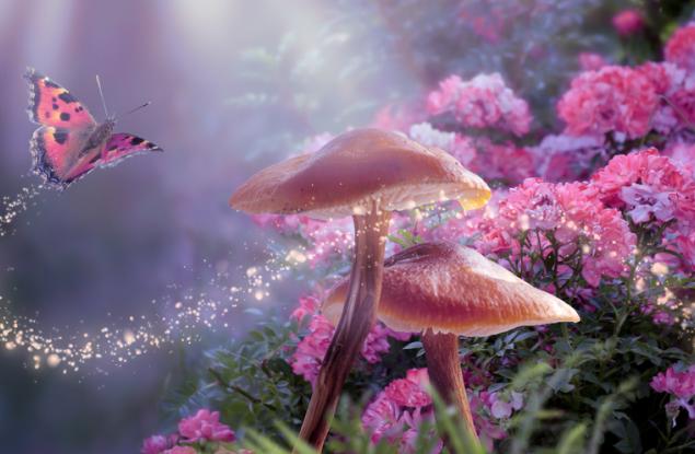 Толкин за хората, легендите и вълшебствата