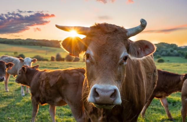 Метанът съставлява голяма част от "тревожното" увеличение на затоплящите планетата газове