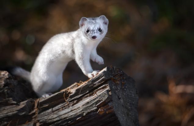 Нов сезон – нови дрехи
