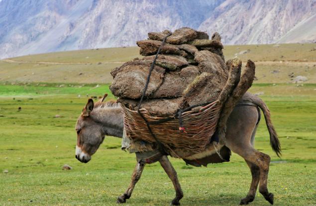 Урокът на Настрадин Ходжа