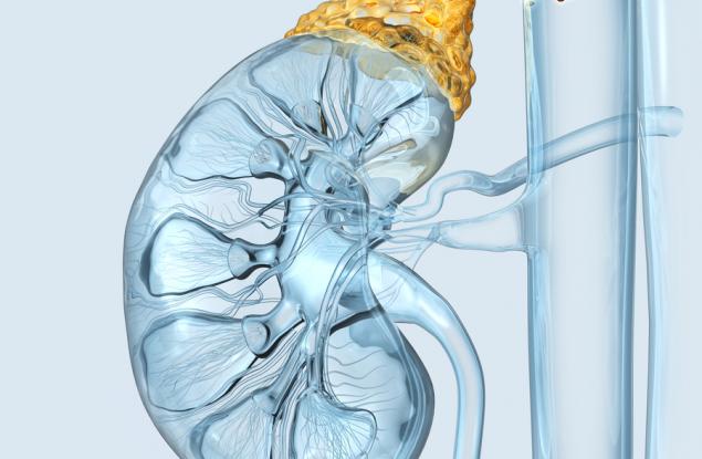 Кортизол: 5 начина да намалим стреса и тревожността