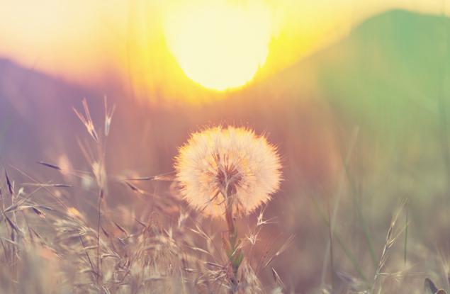 Габриел Гарсия Маркес за важното в живота