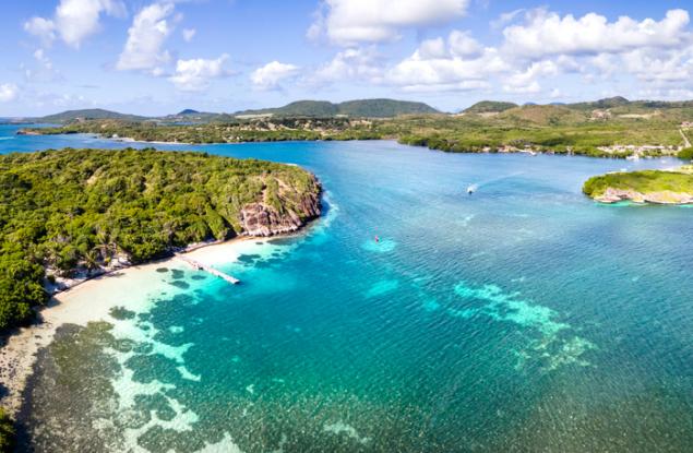 Уязвими видове морски бозайници, многобройни видове охлюви и вид карибски корали са застрашени от изчезване