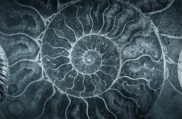 8 сензационни археологически находки - Втора част