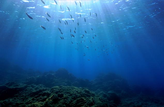 Рекордните температури на повърхността на океаните са бомба със закъснител на глобалното затопляне