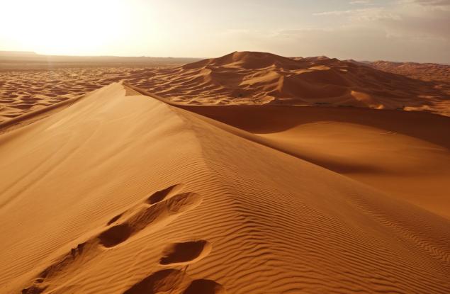 Повишаването на температурите може да предизвика 75% повече дъжд в пустинята Сахара до края на века