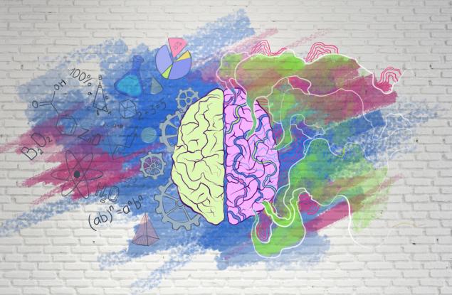 Мозъкът непрекъснато се препрограмира: 15 факта за сивото ни вещество
