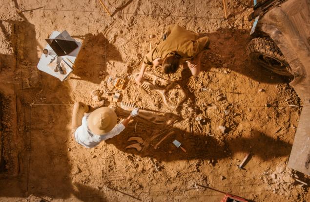 Oткриха останки от слон на 12 хиляди години