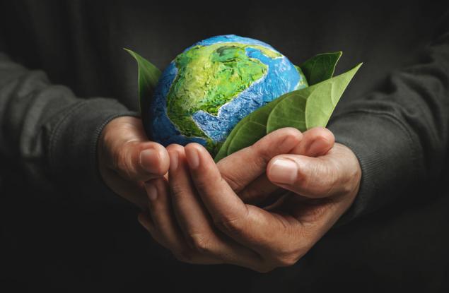 Устойчивото развитие и екологизмът – двата стожера на зелената идея
