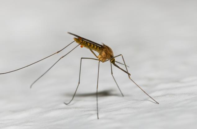 Наблюдения от космоса помагат на учените да получат крачка преднина пред малкия, но смъртоносен комар