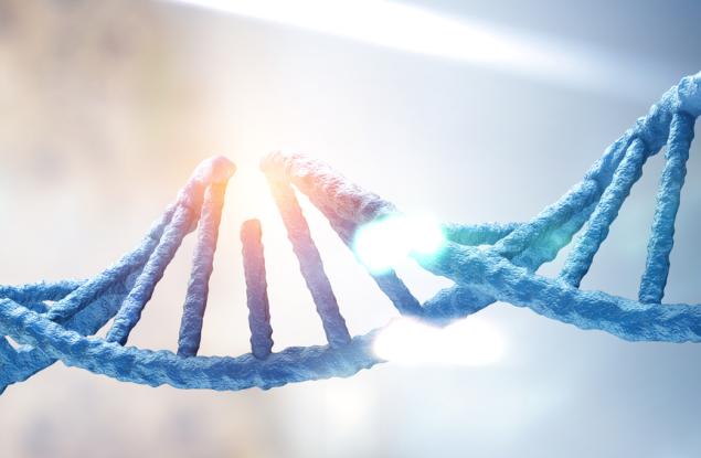 Епигенетичните промени регулират генната експресия, но какво регулира тях?