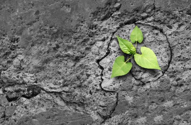 Нещата са прости - или се издигате, или позволявате да ви тъпчат