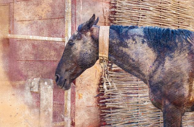 Постъпките на дявола са невинни, останалото сами си го правим