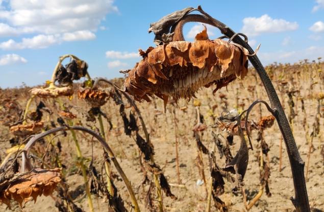 Сушата в Европа е достигнала най-ниски нива от началото на 2022 година